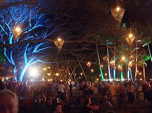 Darwin Festival