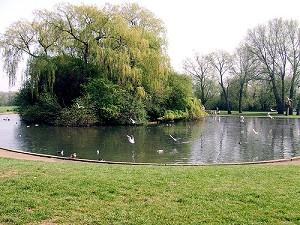 Cutteslowe Park