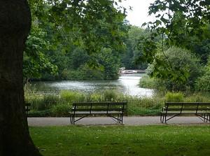South Park Gardens