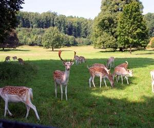 Parchi di Bristol