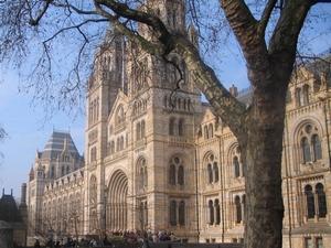 Natural History Museum