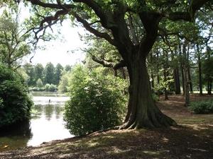 Calderstones Park
