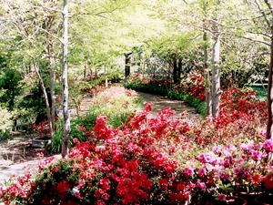 Clarkes Gardens