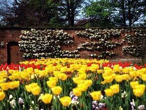 Croxteth Hall and Country Park