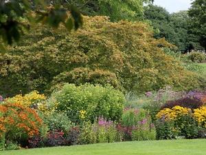 Ness Botanic Gardens