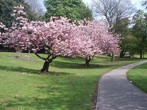 Princes Park