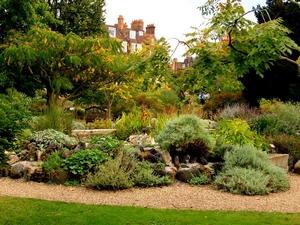 Chelsea Physic Garden