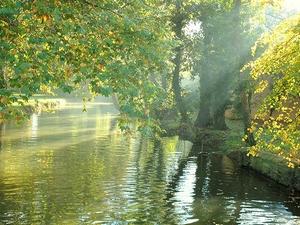 Christ Church Meadow