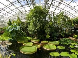 University of Oxford Botanic Garden