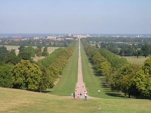 Windsor Great Park